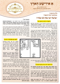 תמונה ממוזערת של א אידישע הארץ